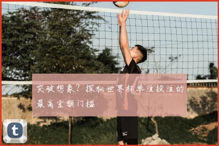 突破想象?探秘世界杯单注投注的最高金额门槛