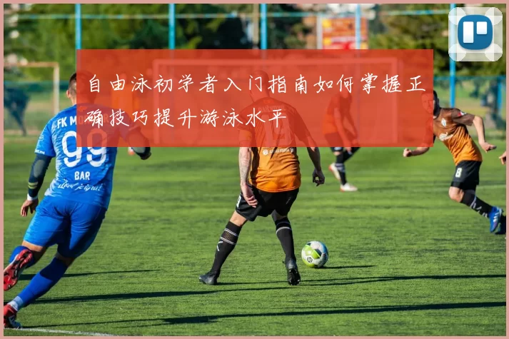 自由泳初学者入门指南如何掌握正确技巧提升游泳水平