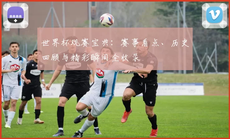 世界杯观赛宝典：赛事看点、历史回顾与精彩瞬间全收录