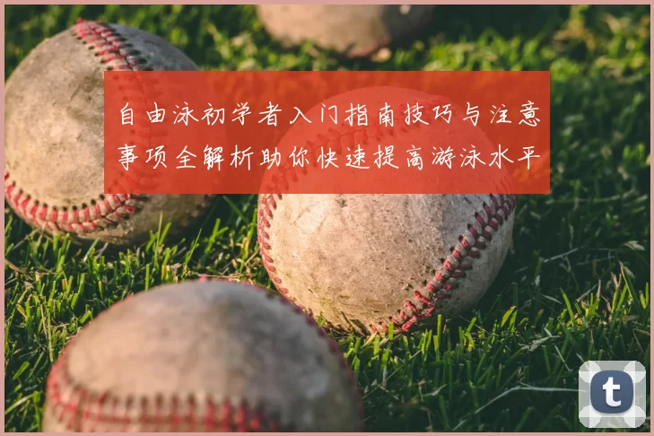 自由泳初学者入门指南技巧与注意事项全解析助你快速提高游泳水平