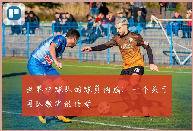 世界杯球队的球员构成：一个关于团队数字的传奇