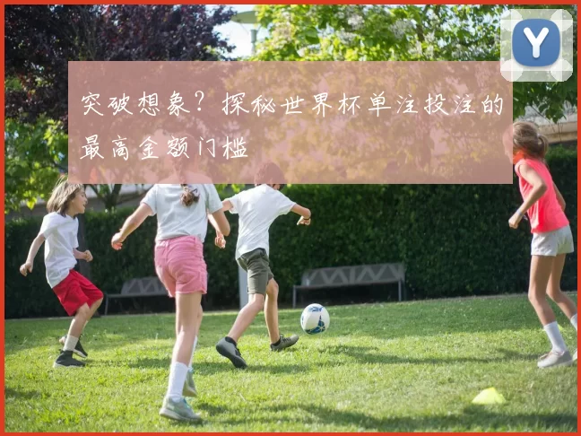 突破想象？探秘世界杯单注投注的最高金额门槛