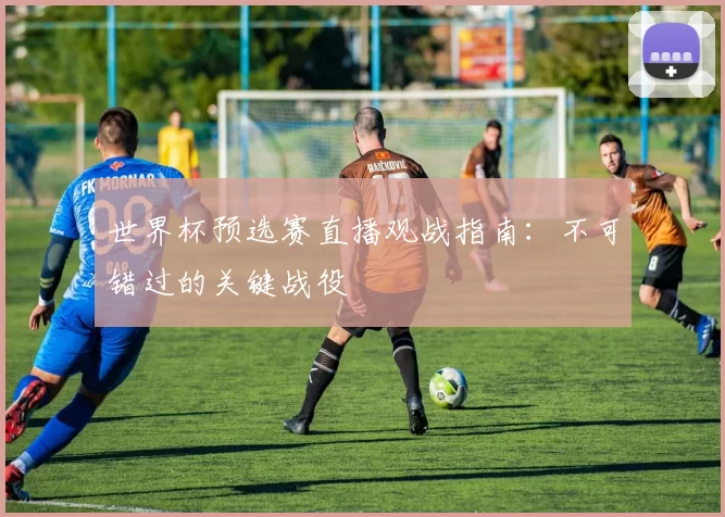 世界杯预选赛直播观战指南：不可错过的关键战役