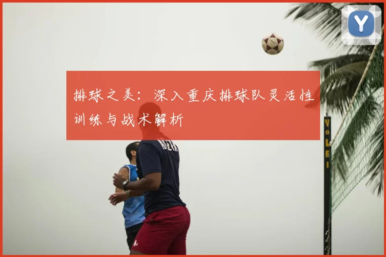 排球之美：深入重庆排球队灵活性训练与战术解析