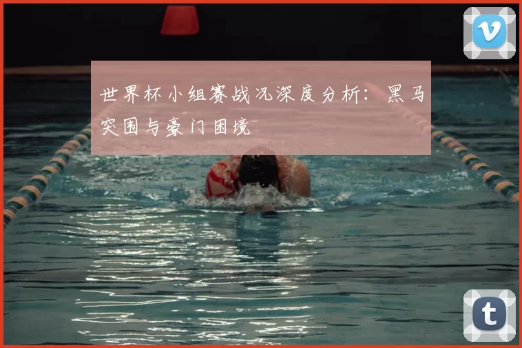 世界杯小组赛战况深度分析：黑马突围与豪门困境