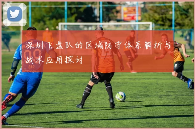 深圳飞盘队的区域防守体系解析与战术应用探讨