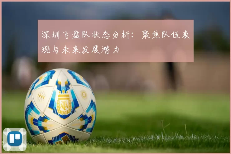 深圳飞盘队状态分析:聚焦队伍表现与未来发展潜力